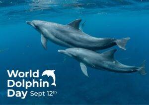 World Dolphin Day